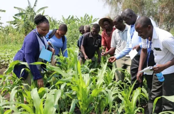Farmers in climate-smart demonstration farm